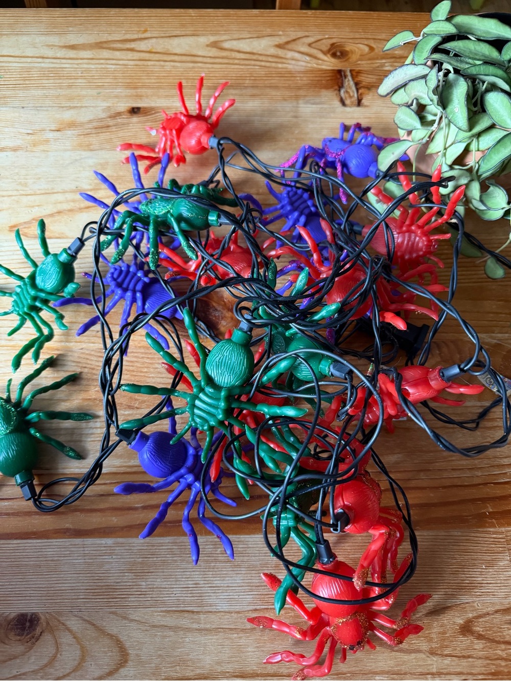 Vintage Spider String Lights